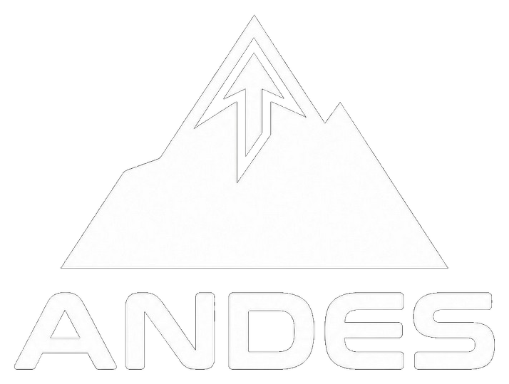 ANDES Ingeniería y Servicios